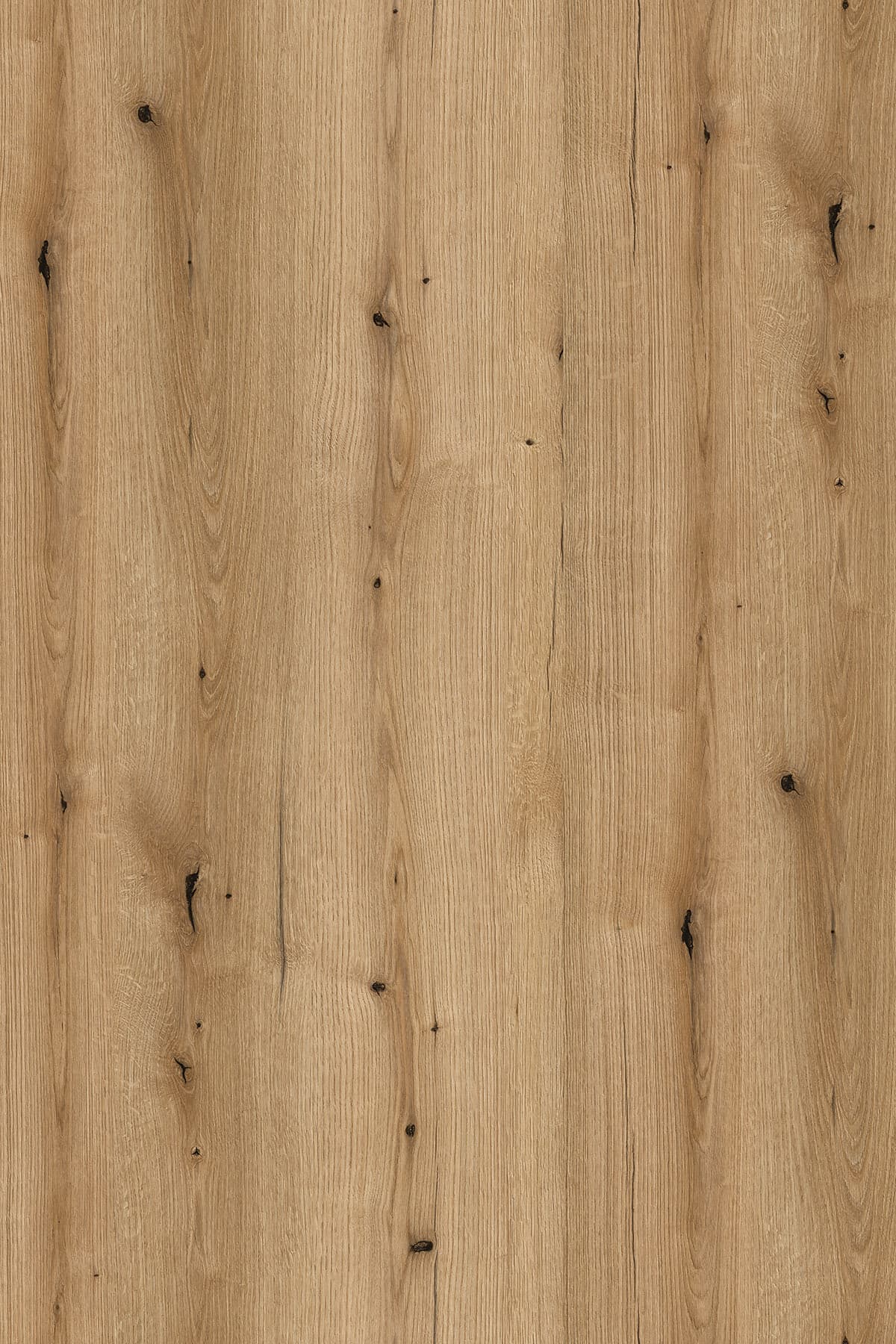 Kronospan Coast Evoke Oak K365 TFL surface pattern