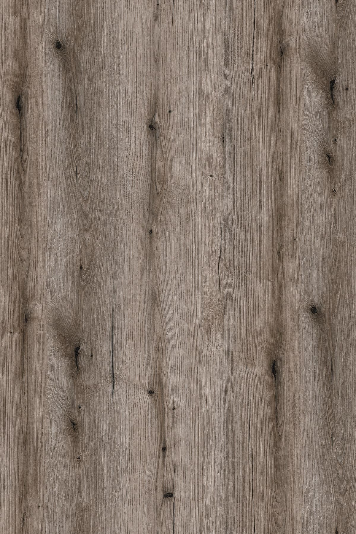 Kronospan Fossil Evoke Oak K366 TFL surface pattern