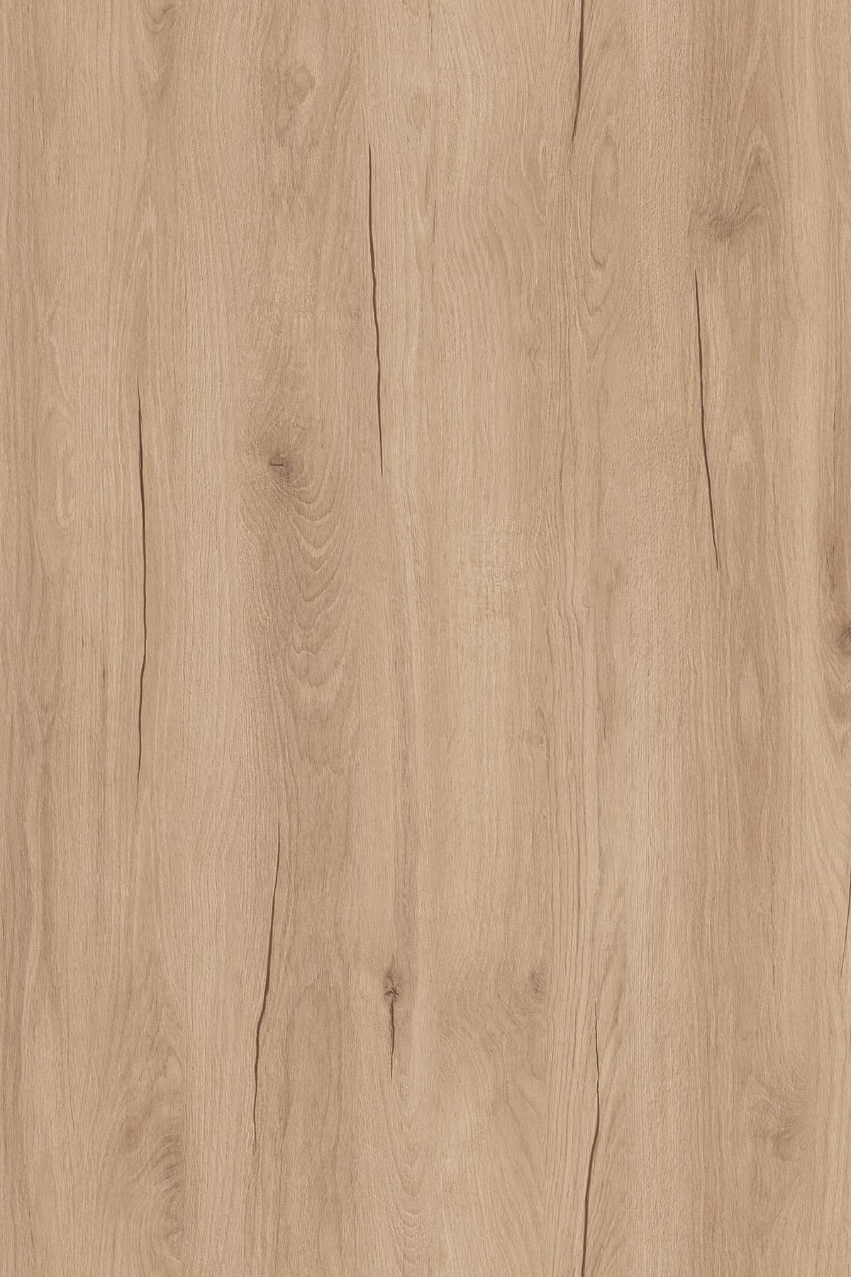 Kronospan Biscotti Hudson Oak K527 TFL surface pattern