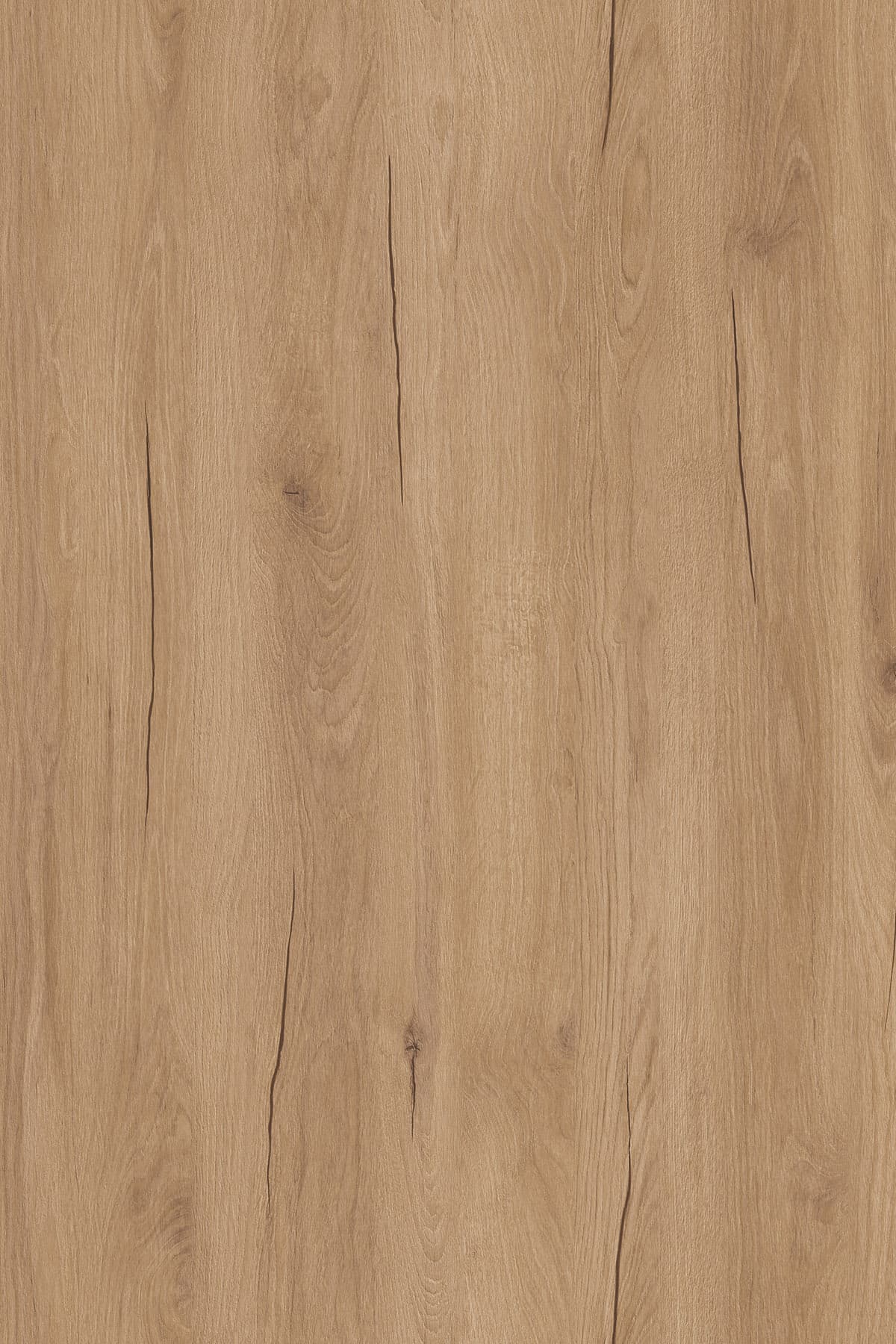 Kronospan Gold Hudson Oak K529 TFL surface pattern