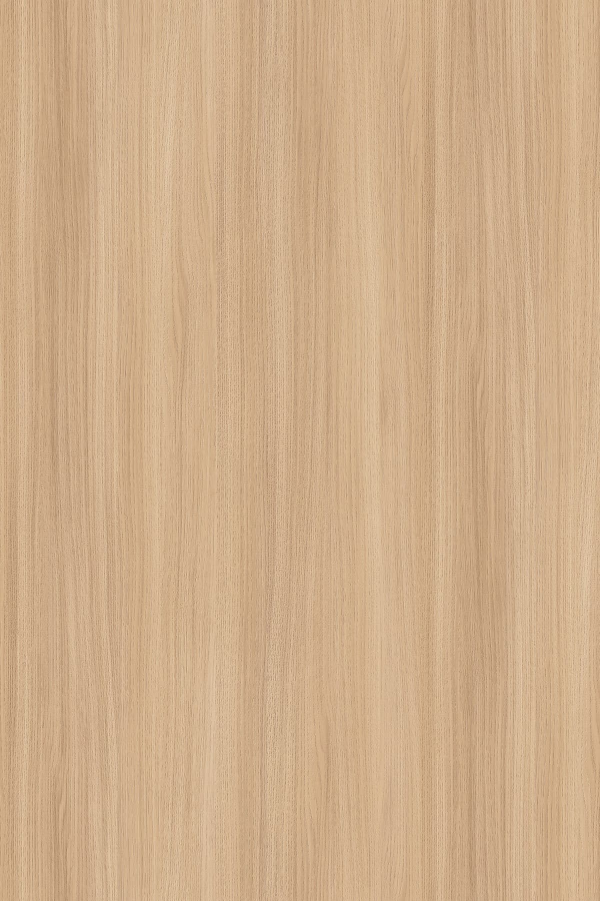 Kronospan Sand Barbera Oak K543 TFL surface pattern