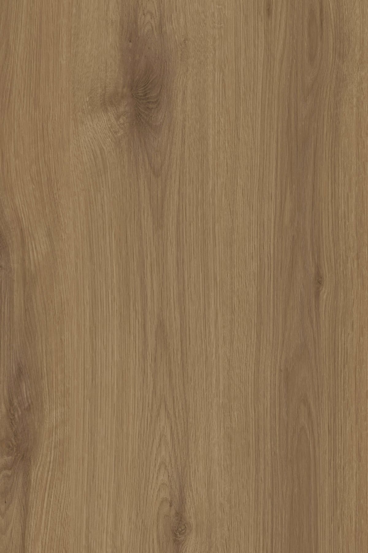 Kronospan Natural Canella Oak K688 TFL surface pattern