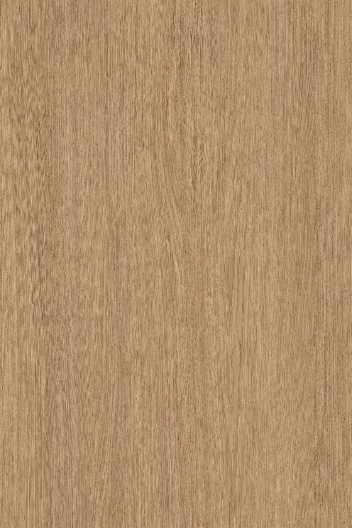 Kronospan Straw Primavera Oak K695 TFL surface pattern