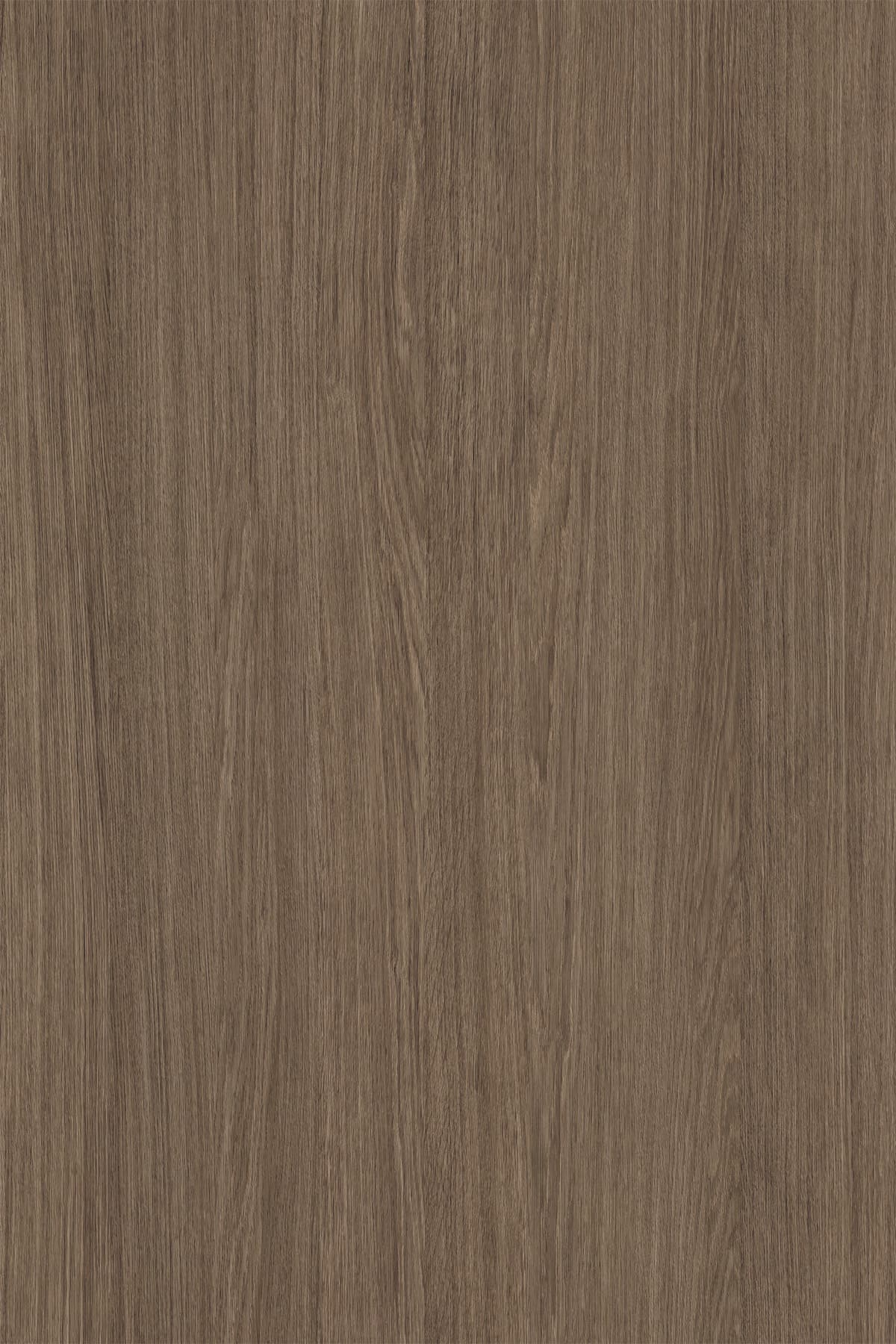 Kronospan Umber Primavera Oak K696 TFL surface pattern