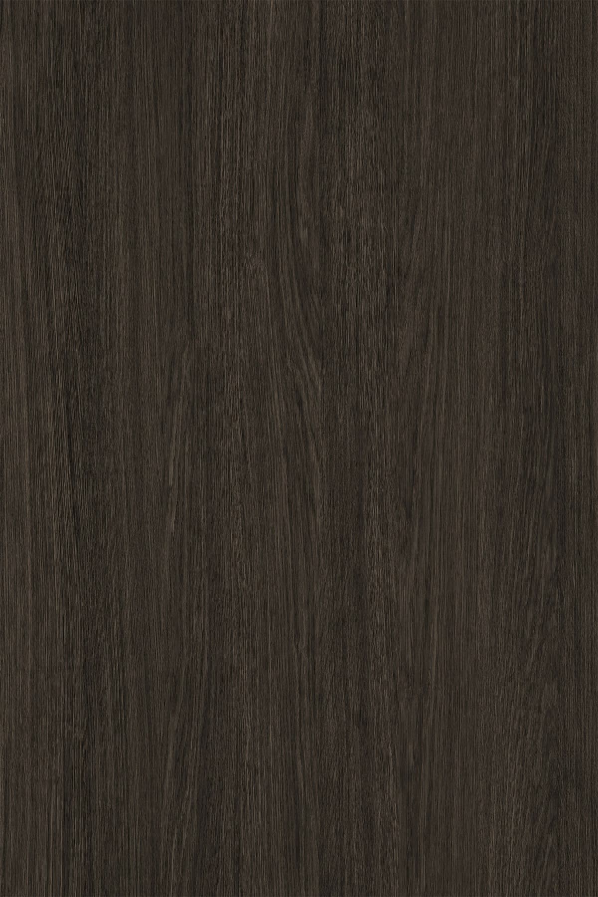 Kronospan Cocoa Primavera Oak K697 TFL surface pattern