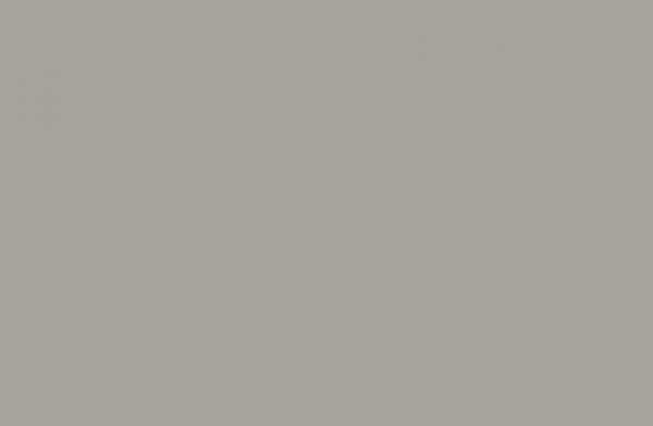Panolam Fog Grey HP551 HPL surface pattern