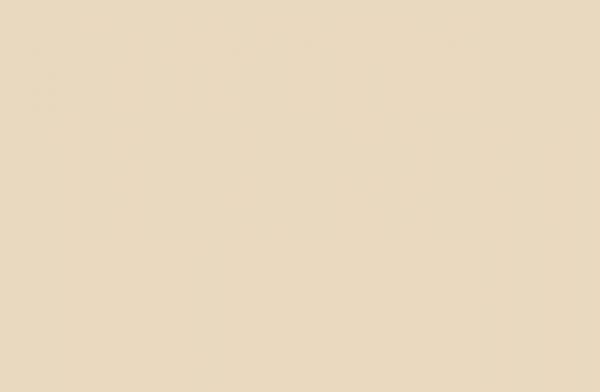 Panolam Natural Almond (formerly Cabinet Almond) HP020 HPL surface pattern