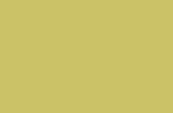 Panolam Kool Kiwi S-5057 HPL surface pattern