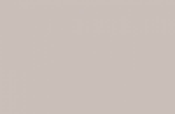 Panolam Birch HP569 HPL surface pattern