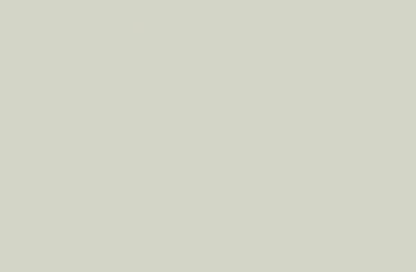 Panolam Pumice SG203 HPL surface pattern