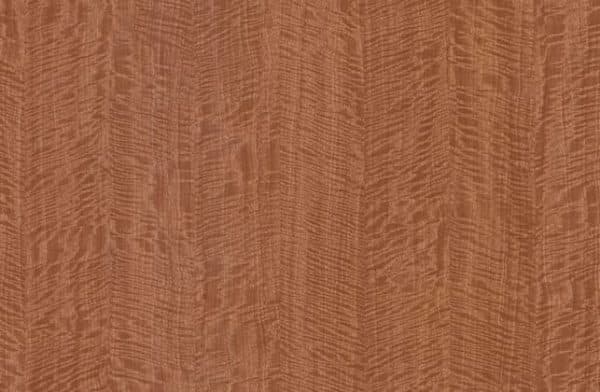 Panolam Tawny Satinwood WZ0003 HPL surface pattern
