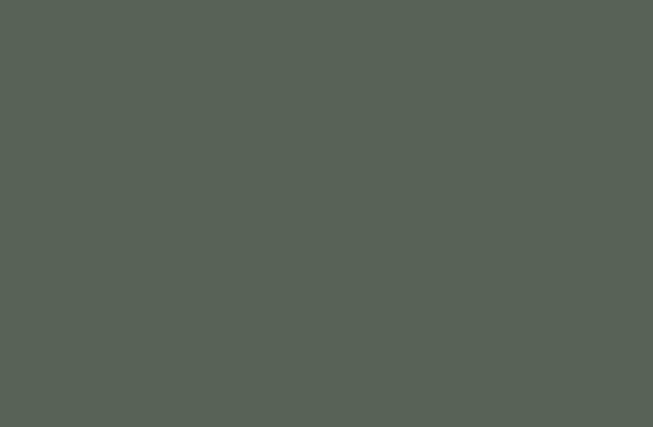 Panolam Feral Fern SV7700 HPL surface pattern