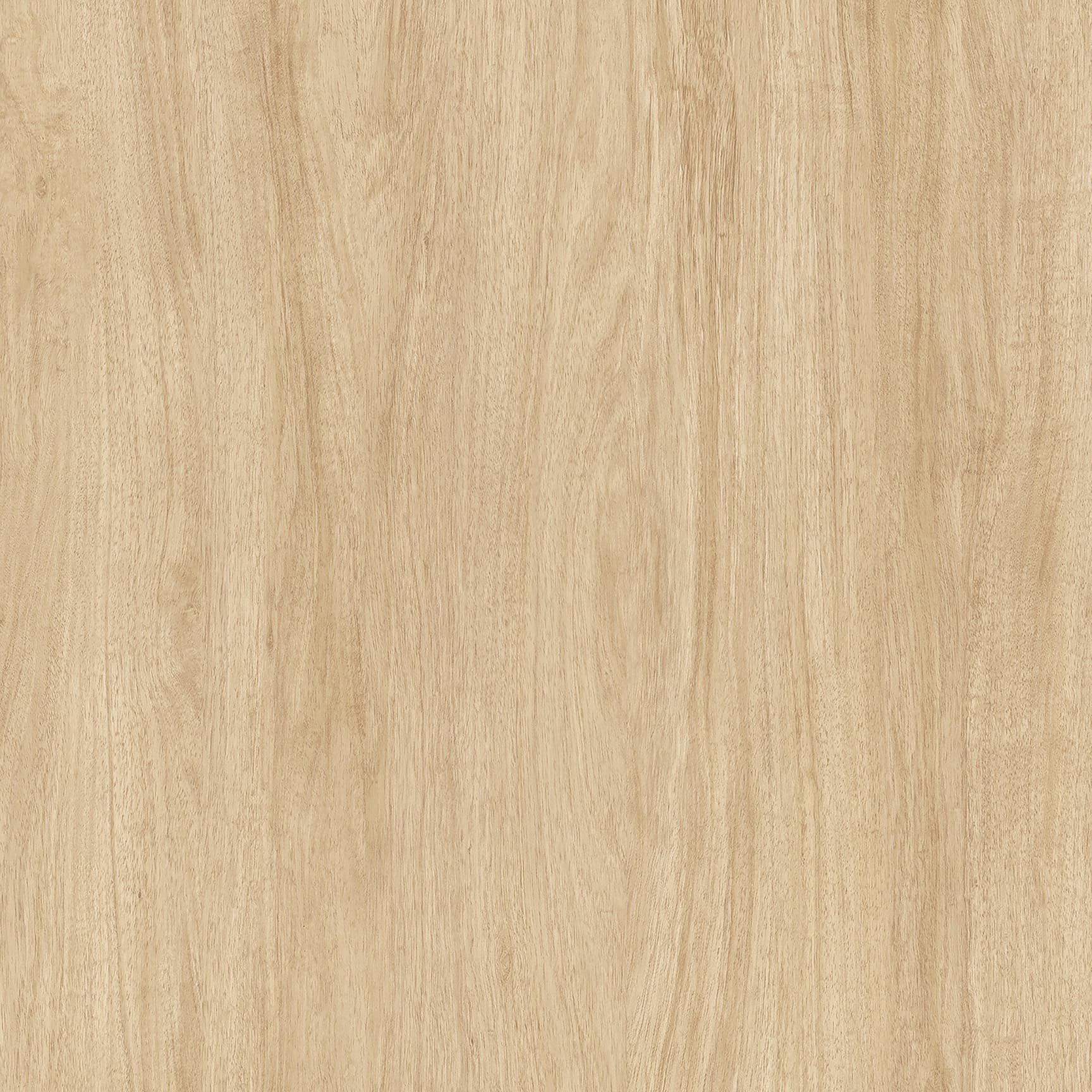 Tafisa Mojave L546 (A) TFL surface pattern
