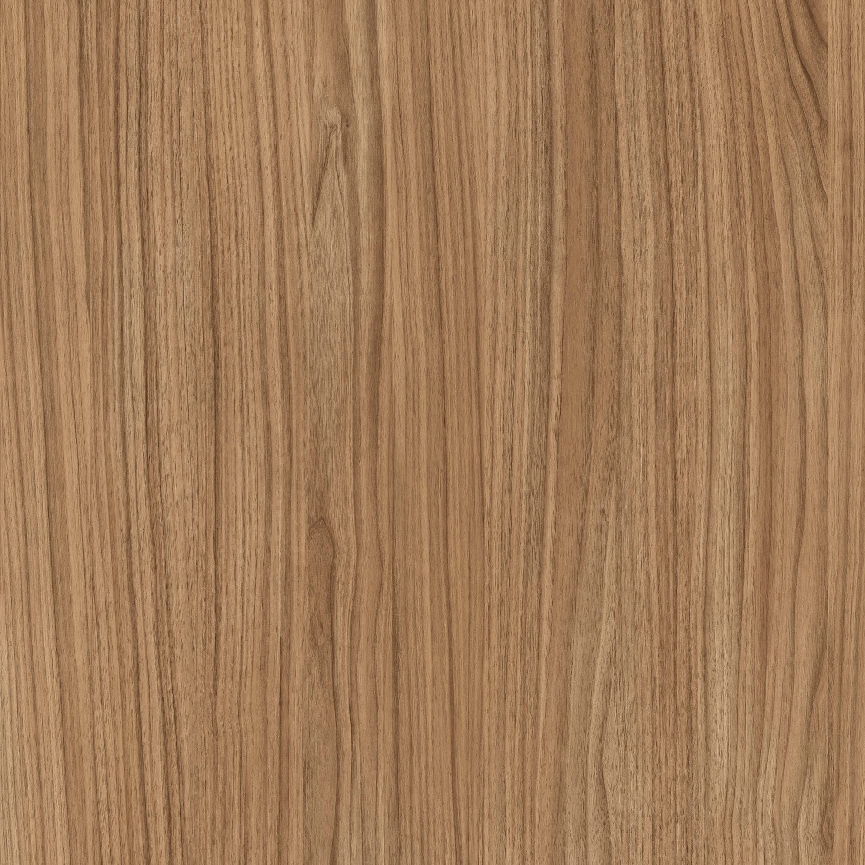 Tafisa Nutmeg L481 (S) TFL surface pattern