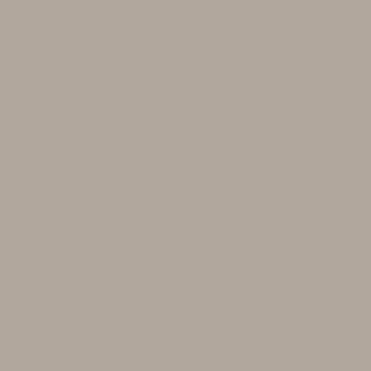 FENIX BEIGE ARIZONA J0748 HPL surface pattern